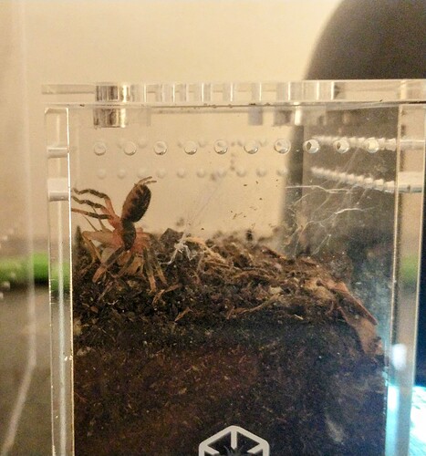 IMG_20250427_141730184~2