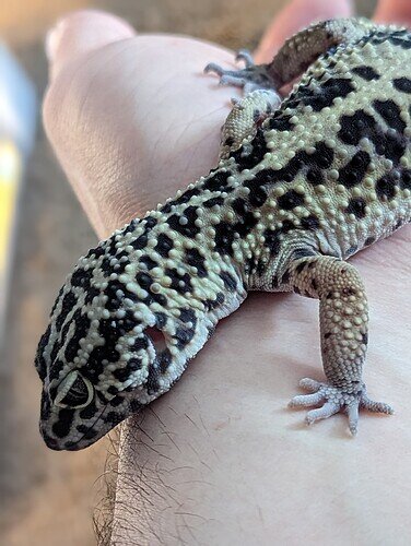 PXL_20230312_155854664.PORTRAIT