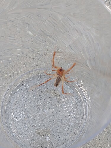 IMG_20260407_074415788