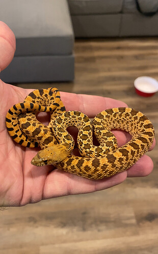 IMG_2732