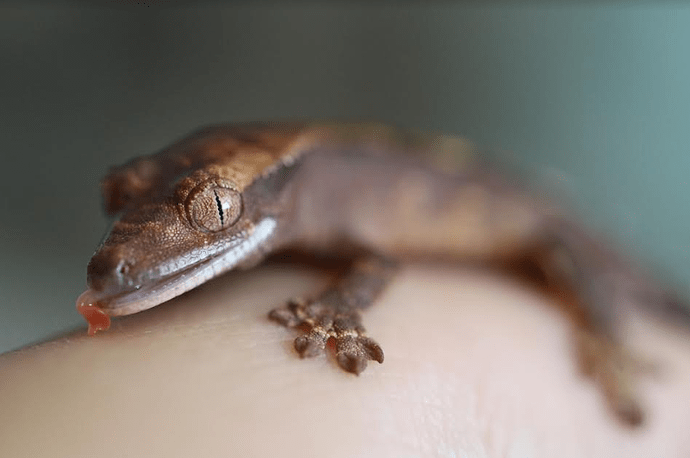 Screenshot 2022-07-26 6.05.05 PM