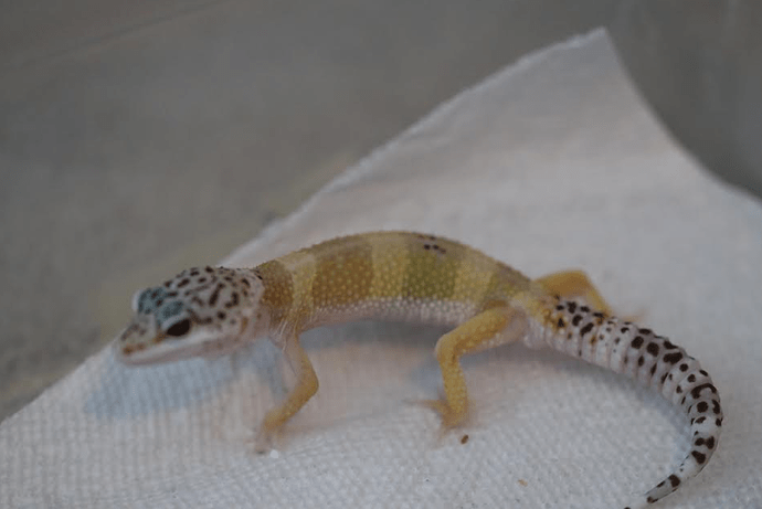 Screenshot 2022-06-03 4.04.48 PM