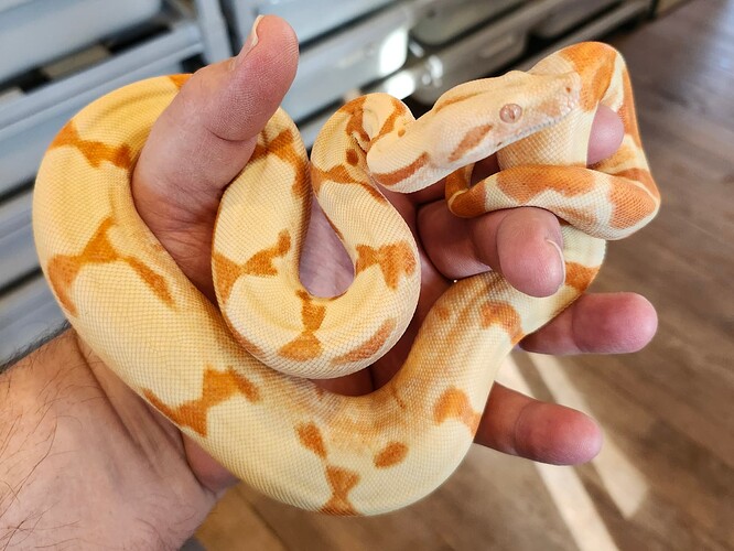 387d7998-b128-4d9f-b35a-782e074ba835-1_all_21077