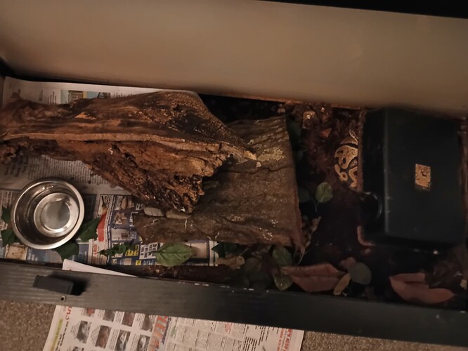 IMG_20260313_200759_153