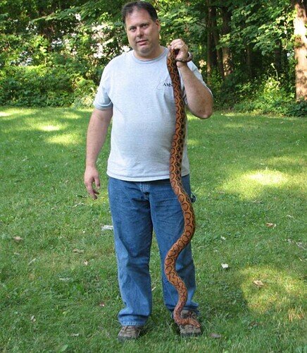 chrome_screenshot_1674093799359