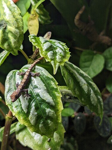 PXL_20230419_024303243