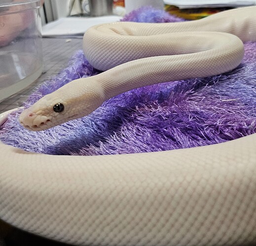 1f6d4beb-2cb8-40d6-aa93-731cccd1c606-1_all_20