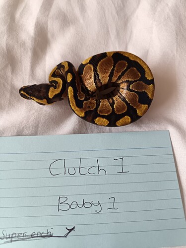 Baby 1