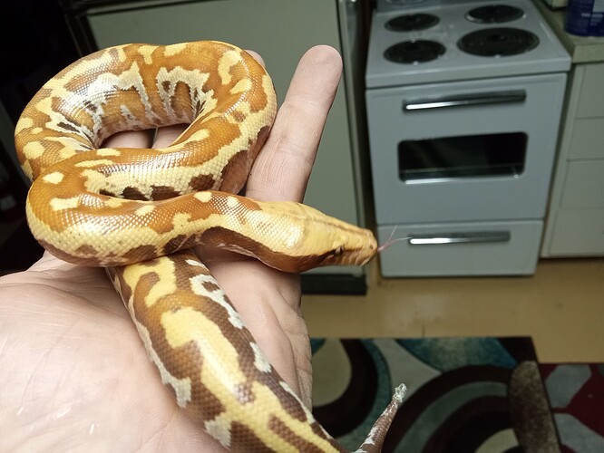 IMG_20221122_195858034