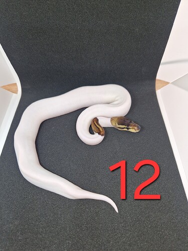20241006_150912