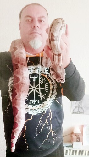 20231025_Stonica
