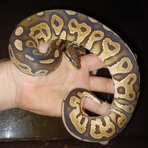 IMG_20220615_095912_017