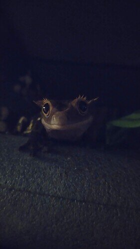 IMG_20220216_191056_1