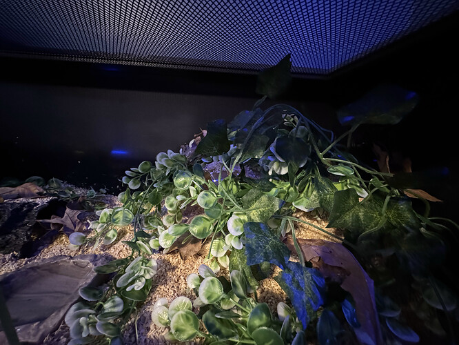 Right side of enclosure.HEIC