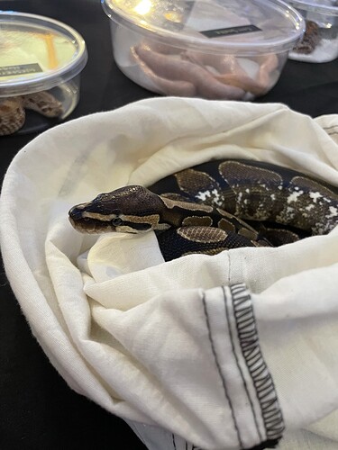 6B179B6E-3730-4EA8-B28E-73449D265FF4_1_105_c