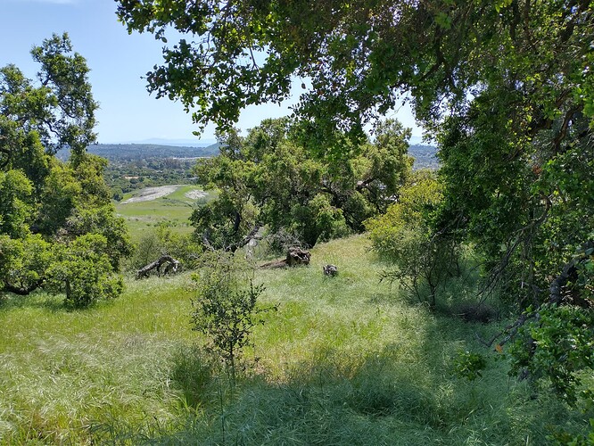 IMG_20240407_131911660_HDR