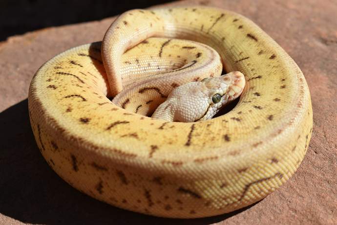 received_353128855752241