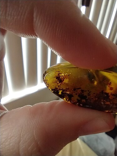 IMG_20250113_140225506