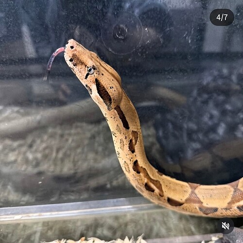 Screenshot_20260102_123732_Instagram