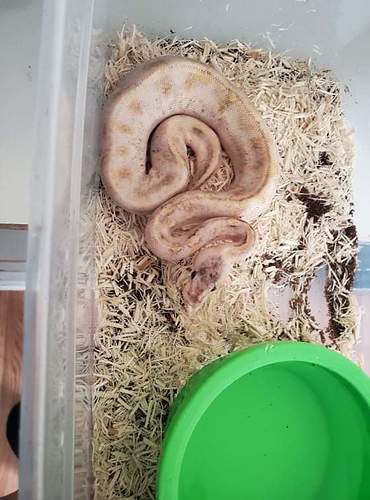 received_864993537461179