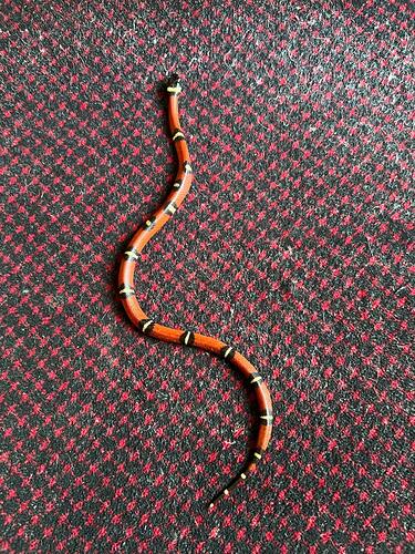 photo_2026-03-11_15-28-28