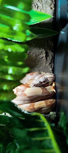 IMG_20250304_013148