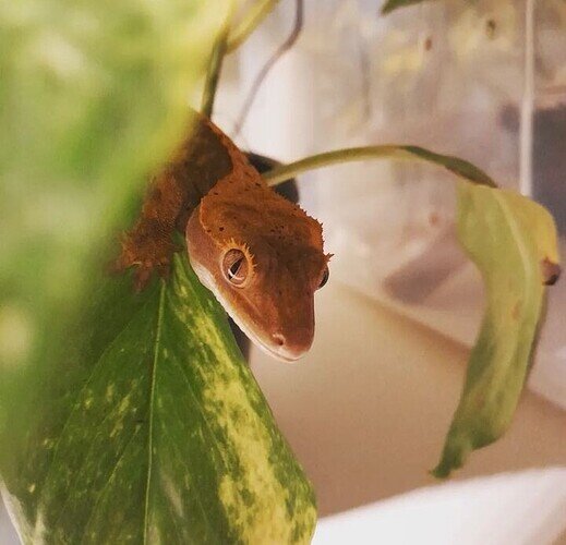 Screenshot_20221124-082627_Instagram