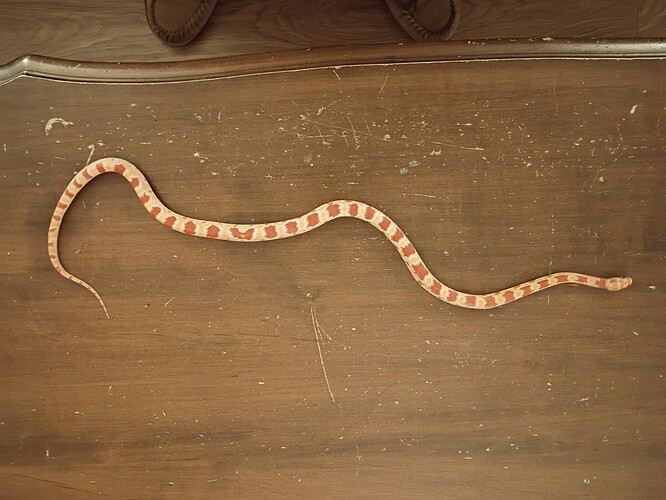 IMG_20251027_211023045