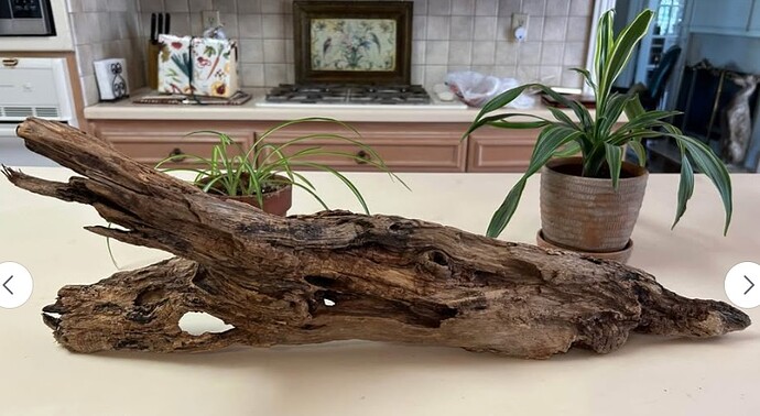 Driftwood 2