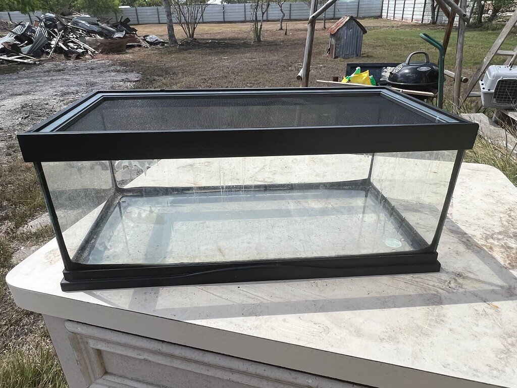 Habitat Build Viper Gecko Enclosures & Setups MorphMarket Reptile