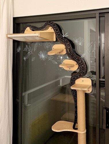 Screenshot 2026-04-15 at 11.22.21 AM