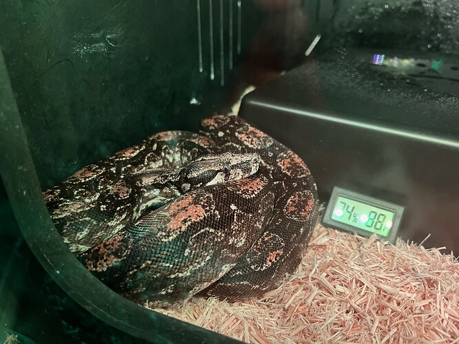 70492769258__EE27F831-7504-4445-B819-DD60876375B9