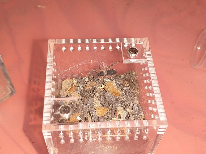 IMG_20250427_141457023