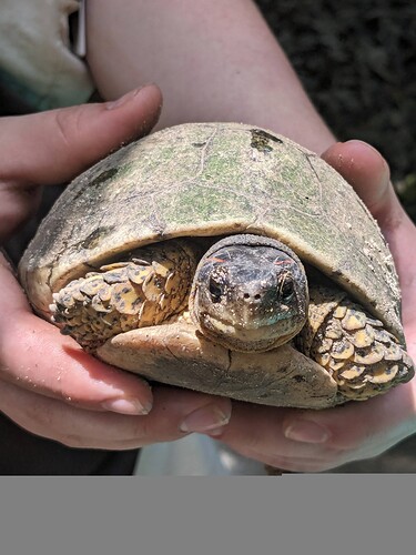 26ae2bb8-31d2-4b29-bf7a-7da003a6a9dc-1_all_11115