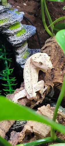 Resized_20230417_132711