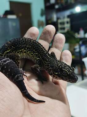 509345218_721455520488123_7451420649930445949_n