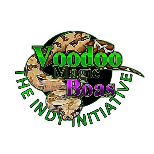 VMB Logo The Indy Initiative 2