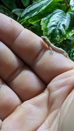 PXL_20230510_183026399