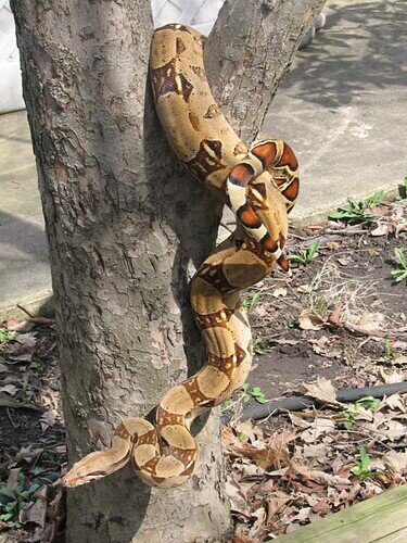 chrome_screenshot_1647209860717