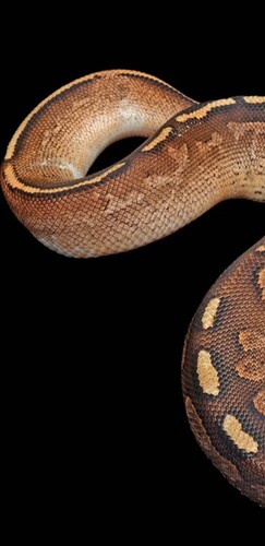 Screenshot_20251225-103754_Gallery