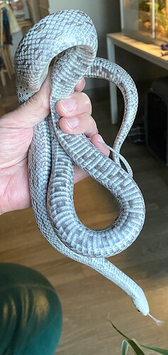 IMG_5322