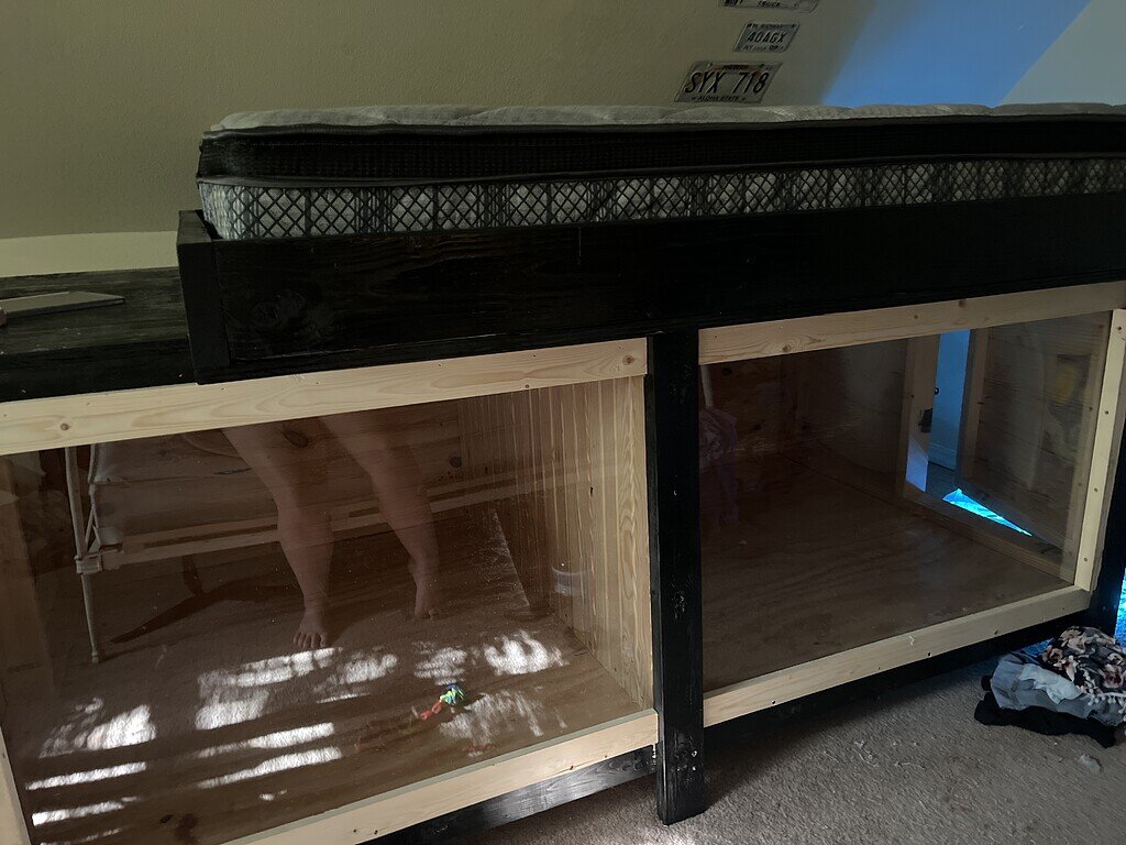 New bed/ snake enclosure - Ball Pythons - MorphMarket Reptile Community