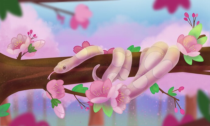 CherryBlossom_Flowers6
