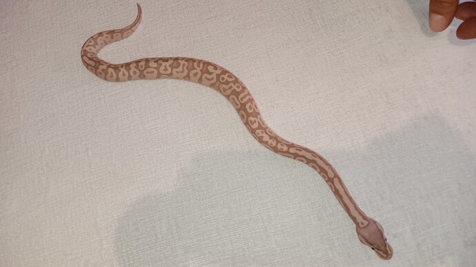 Resized_20250930_214333