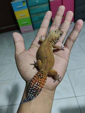 526691695_1432438844696401_1914021134433757611_n