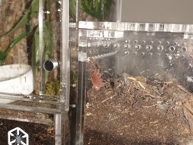 IMG_20250330_112045636