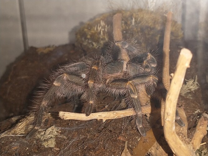 IMG_20250714_174830956