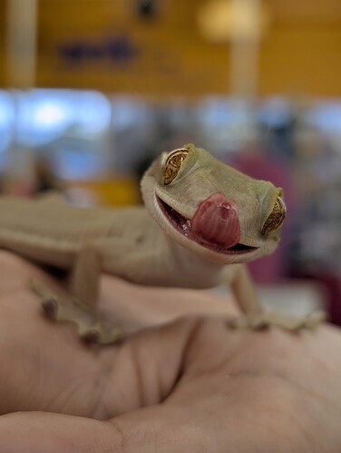 PXL_20250921_145149798.PORTRAIT.ORIGINAL