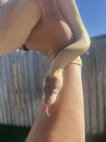 79B0A2E1-FAF7-4DF6-B113-AE2B702A9C1D