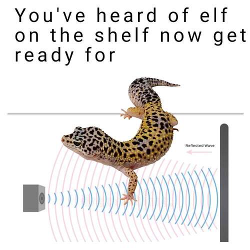 FB_IMG_1671590027641